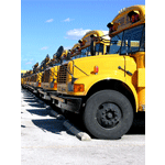 stock photo yellow school buses